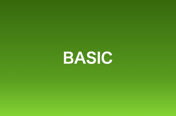 BASICコース
